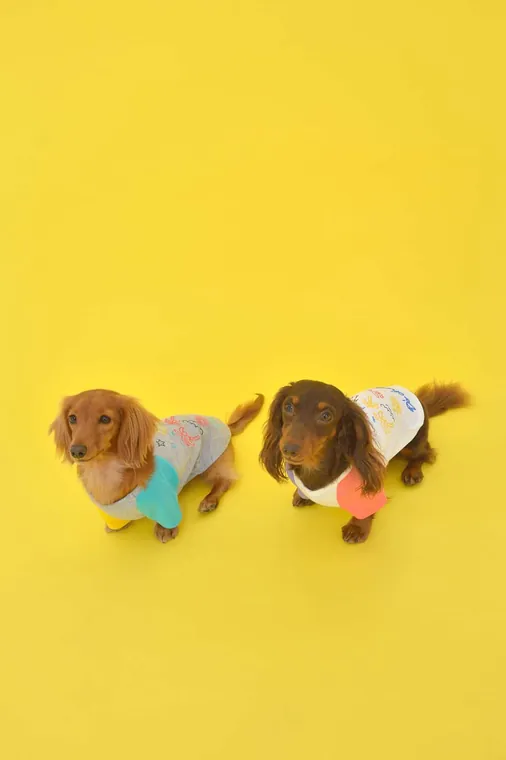 Pet T-Shirt · DS161128