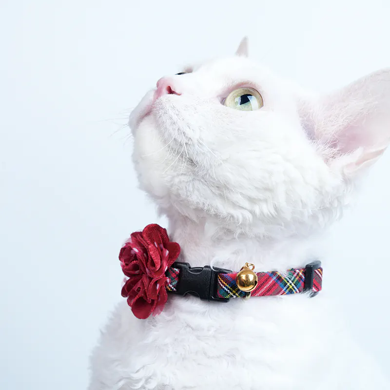 Rose Pet Collar · 810031 product view 2