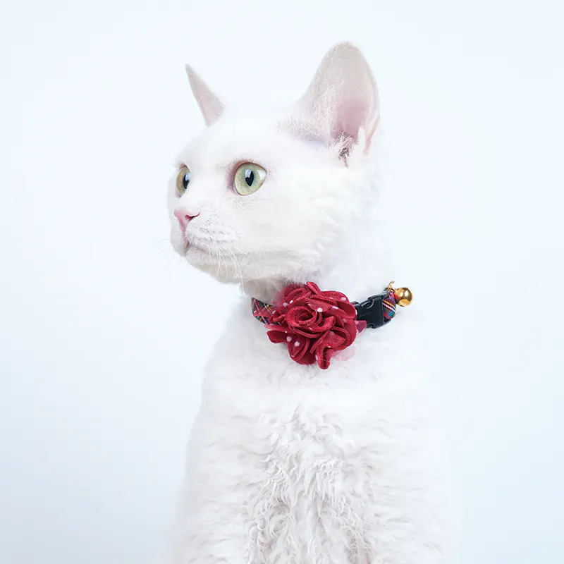 Rose Pet Collar · 810031 product view 3