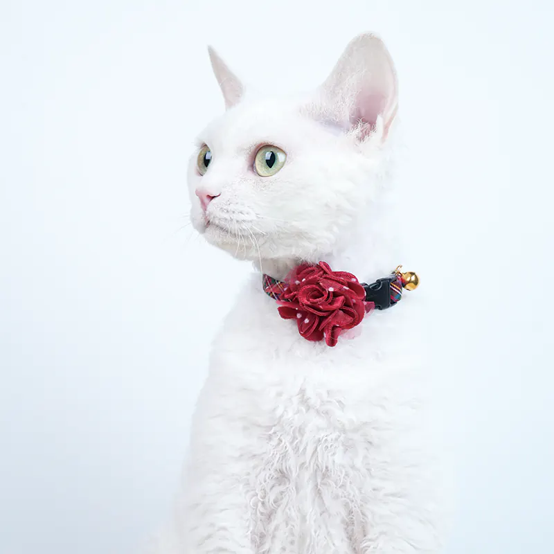 Rose Pet Collar · 810031 product view 4