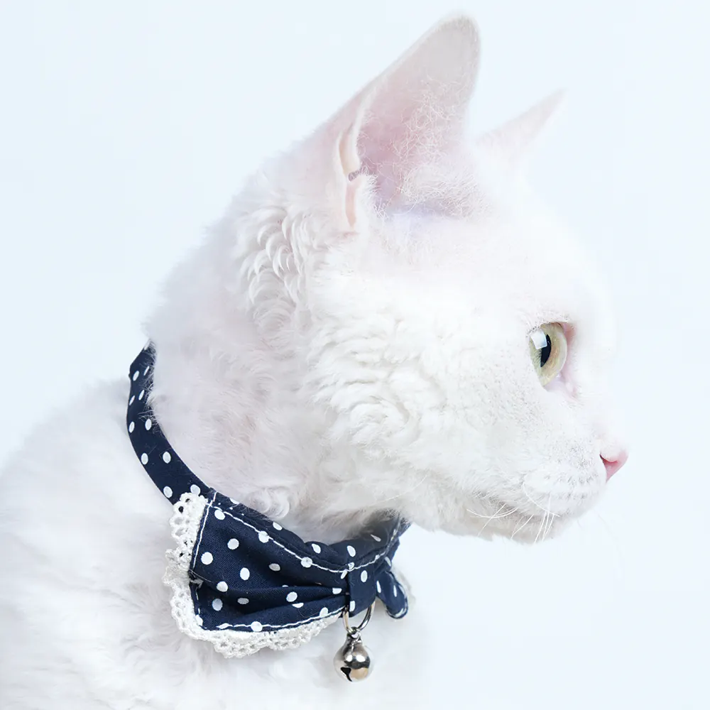 Pet Collar · 810032 product view 4
