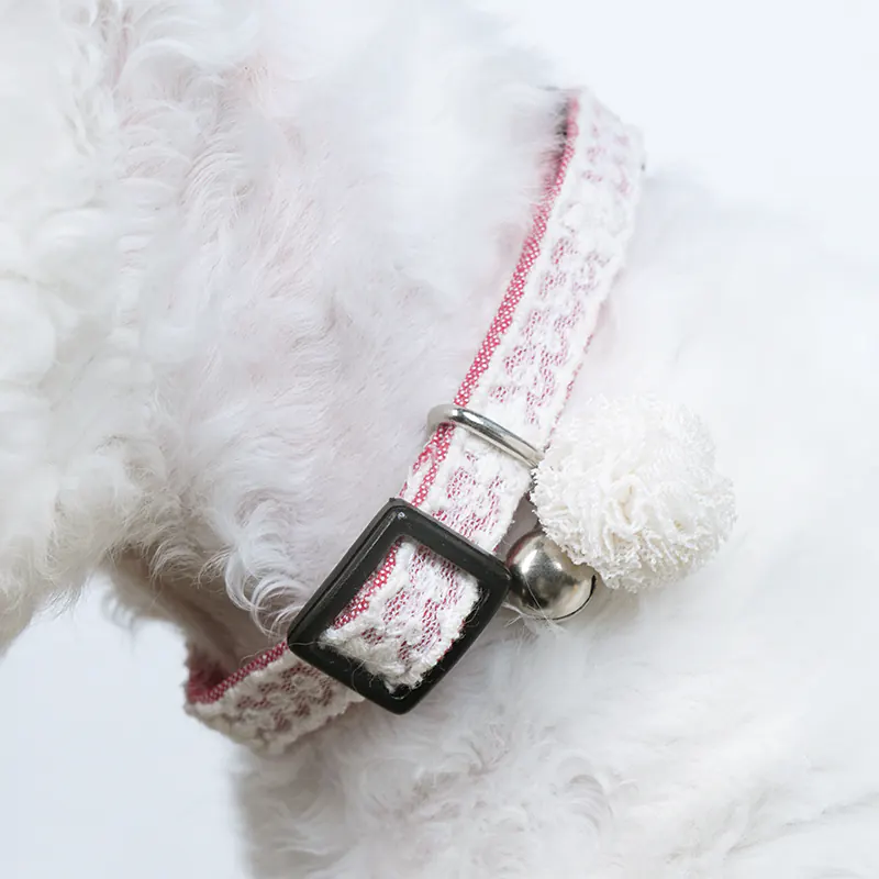 Lace Pet Collar · 810049 product view 3