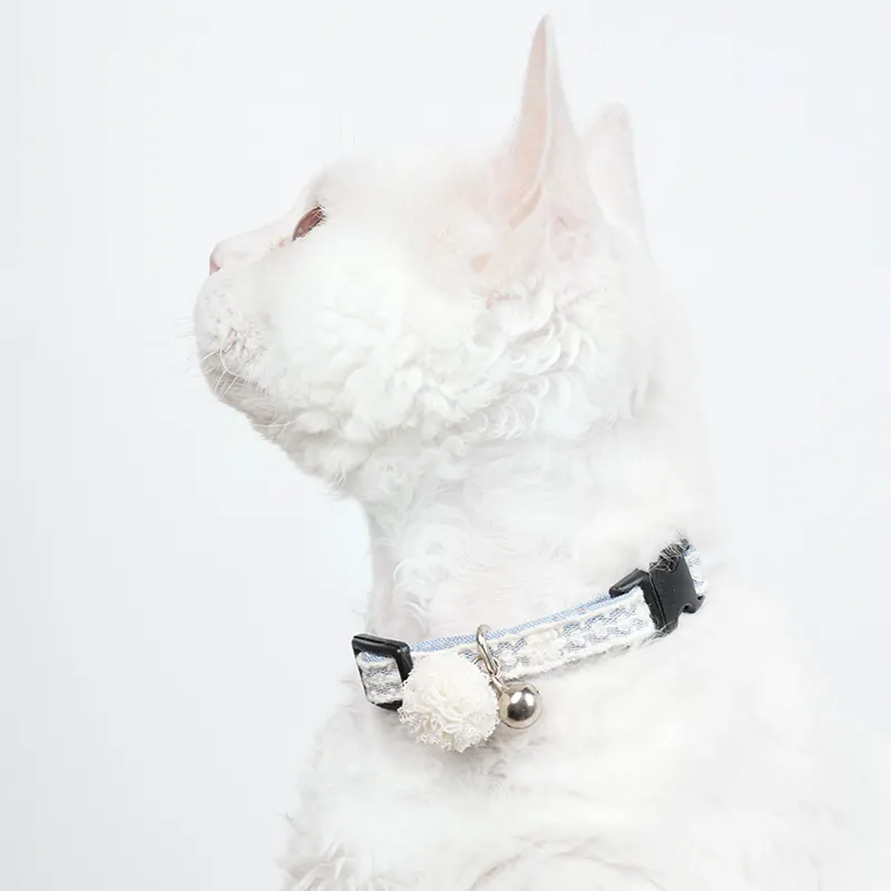 Lace Pet Collar · 810049 product view 5