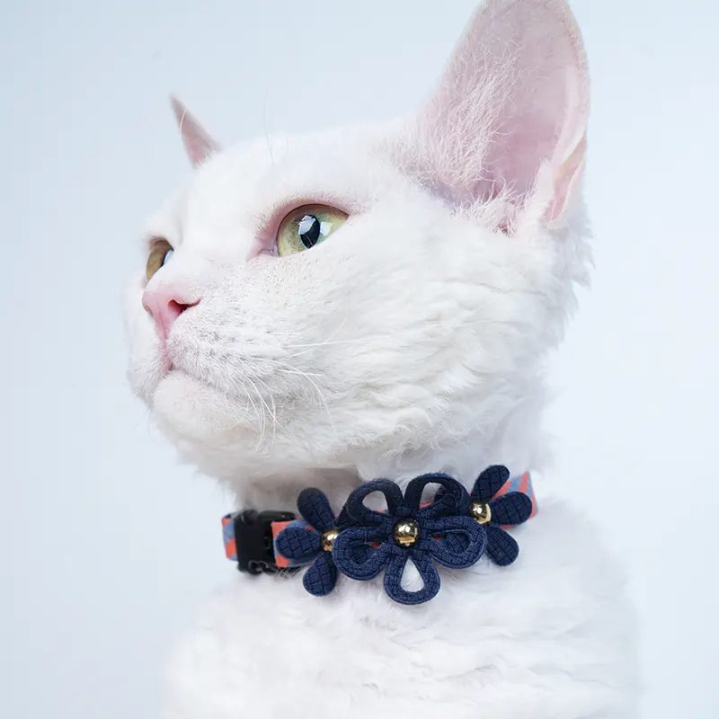 Daisy Pet Collar · 810072 product view 3