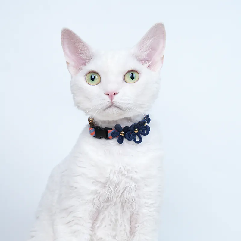 Daisy Pet Collar · 810072 product view 4