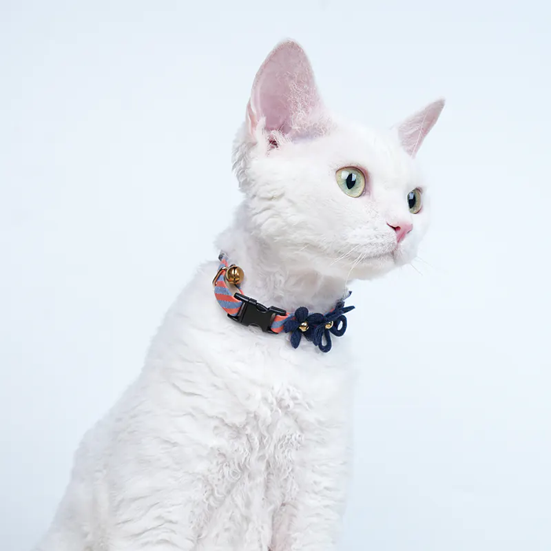 Daisy Pet Collar · 810072 product view 5