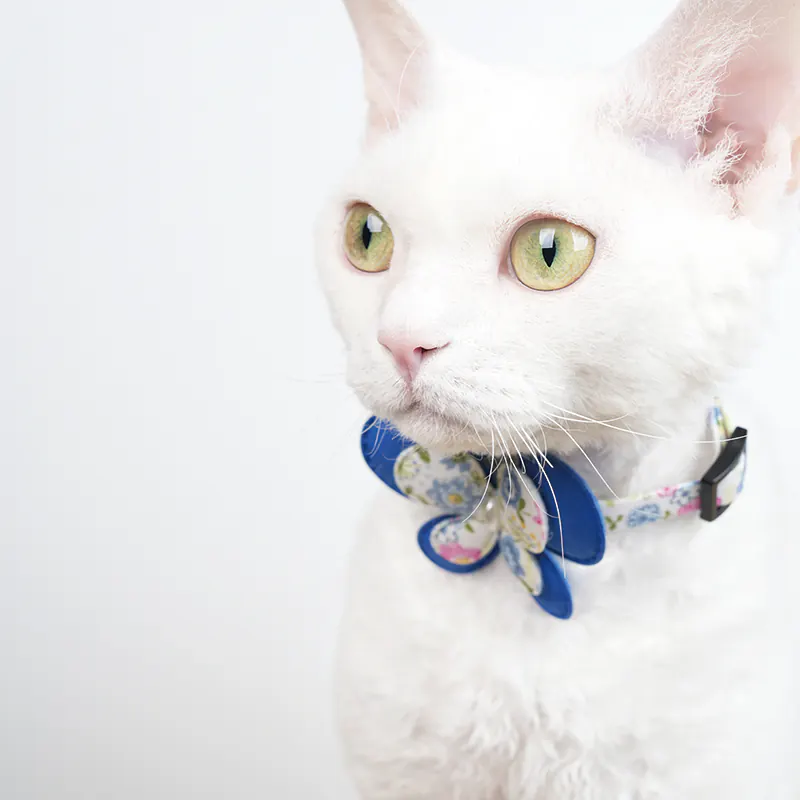 Butterfly Pet Collar · 810075 product view 4