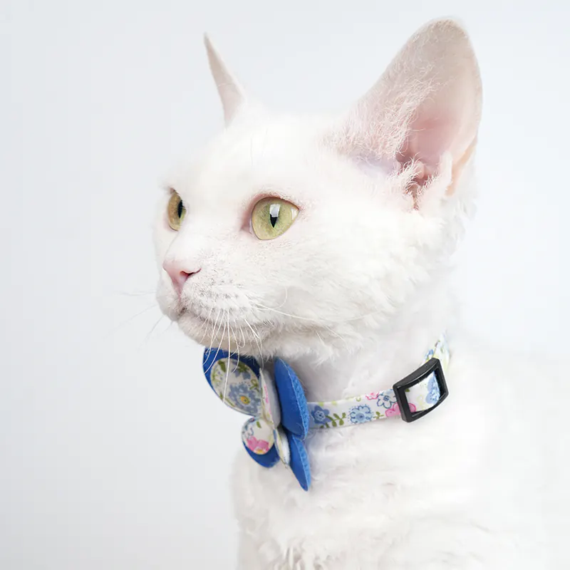 Butterfly Pet Collar · 810075 product view 5