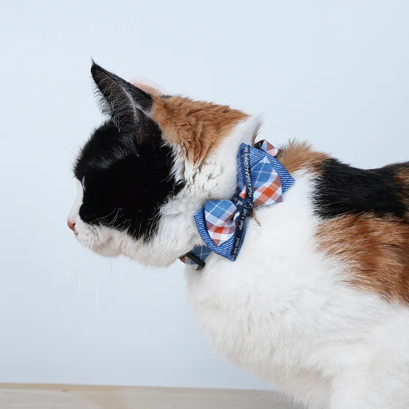 Star Pet Collar · 810078 product view 3