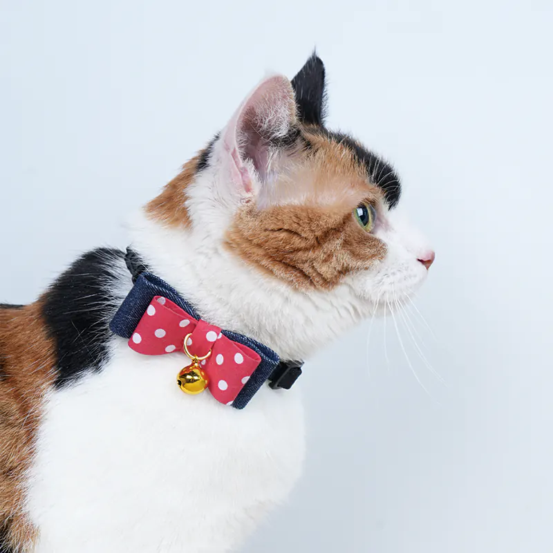 Star Pet Collar · 810078 product view 4