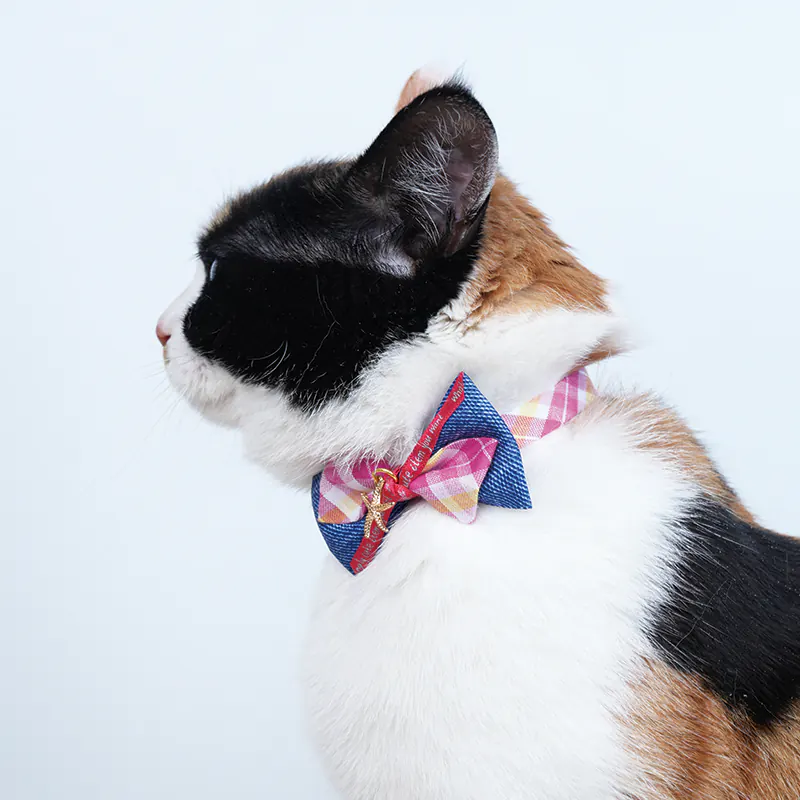 Star Pet Collar · 810078 product view 5