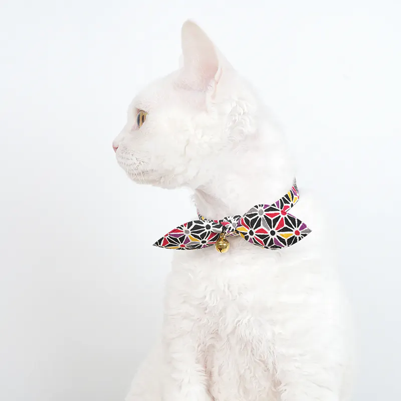 Pet Collar · 810084 product view 3