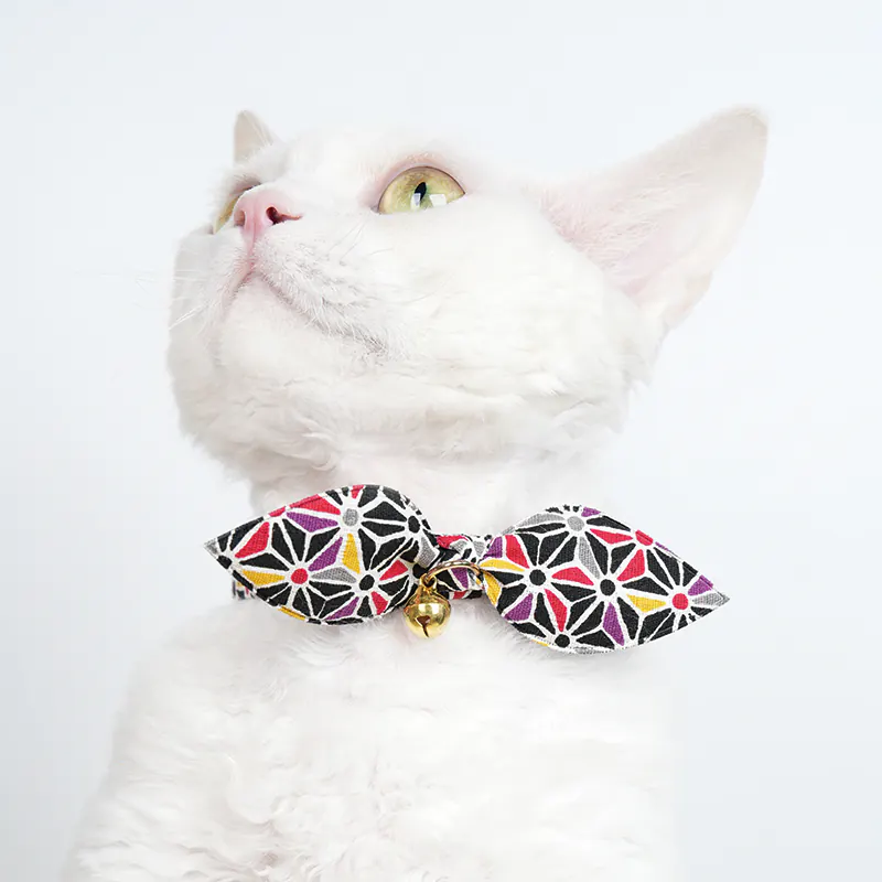 Pet Collar · 810084 product view 4