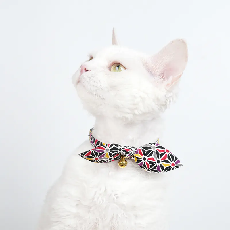 Pet Collar · 810084 product view 5