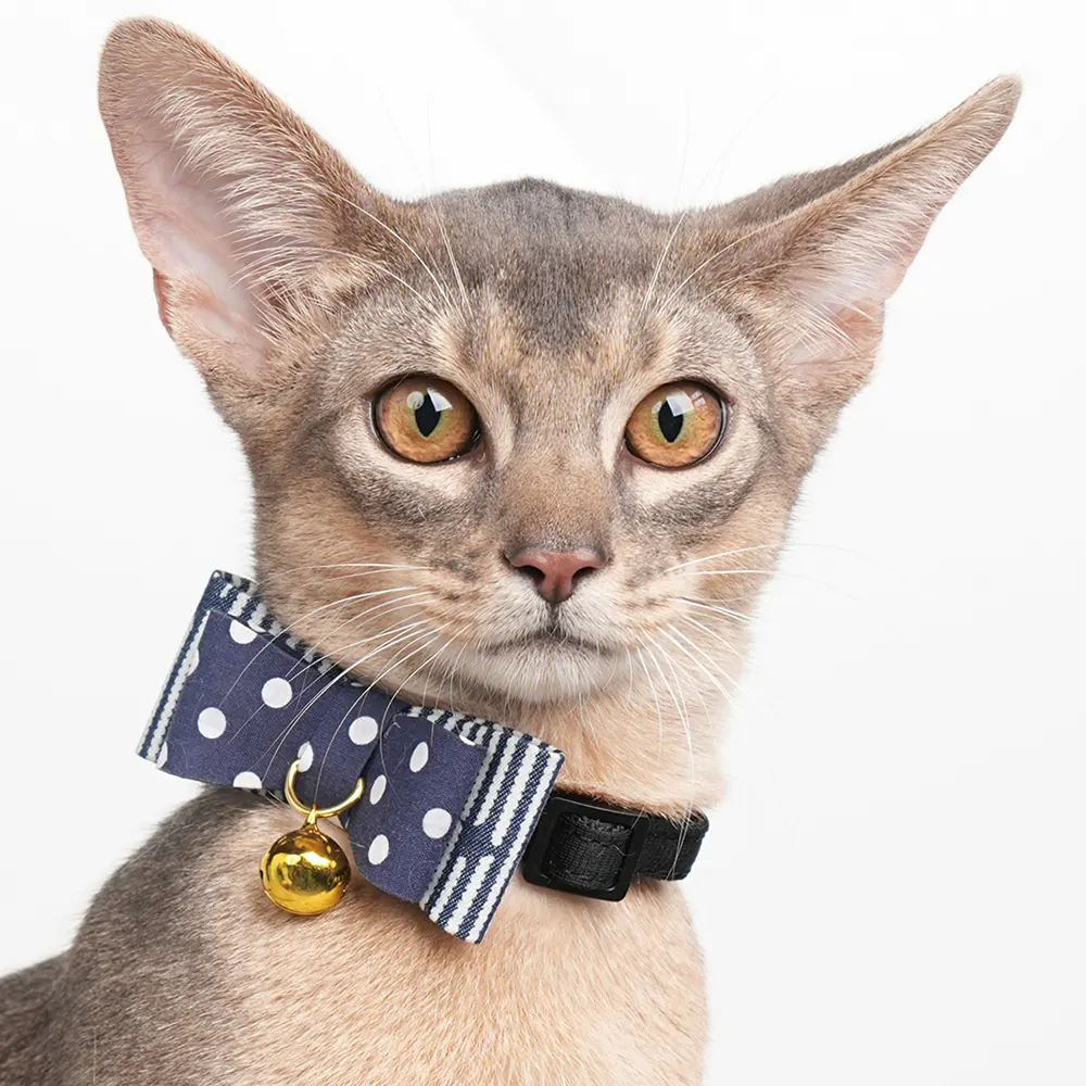 Pet Collar · 810096 product view