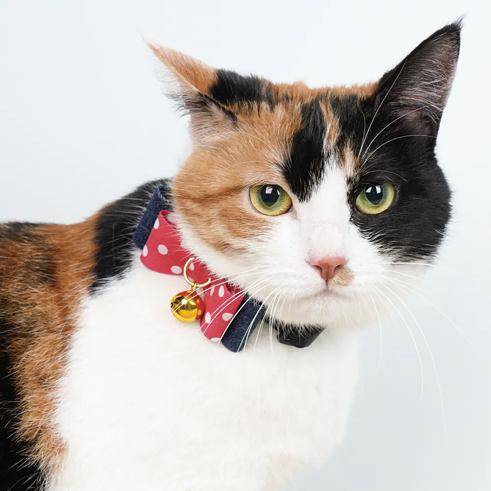 Pet Collar · 810096 product view 3
