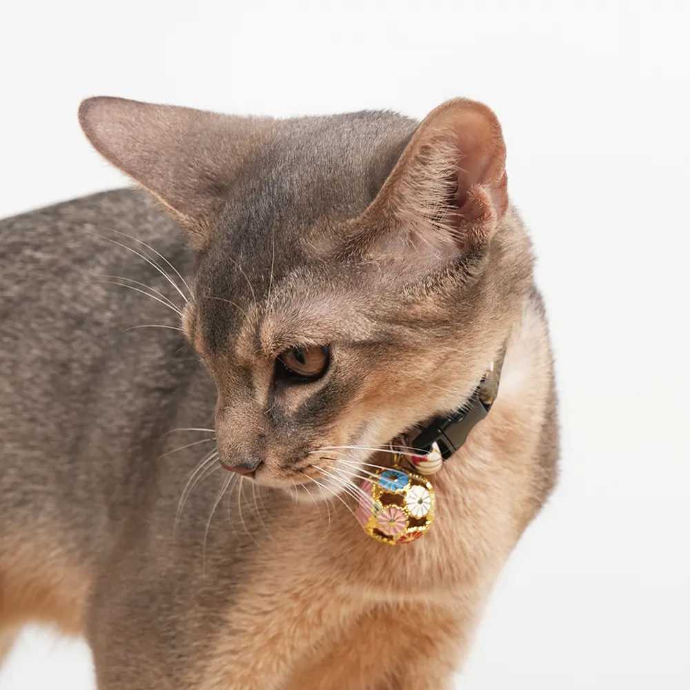 Pet Collar · 810117 product view 4