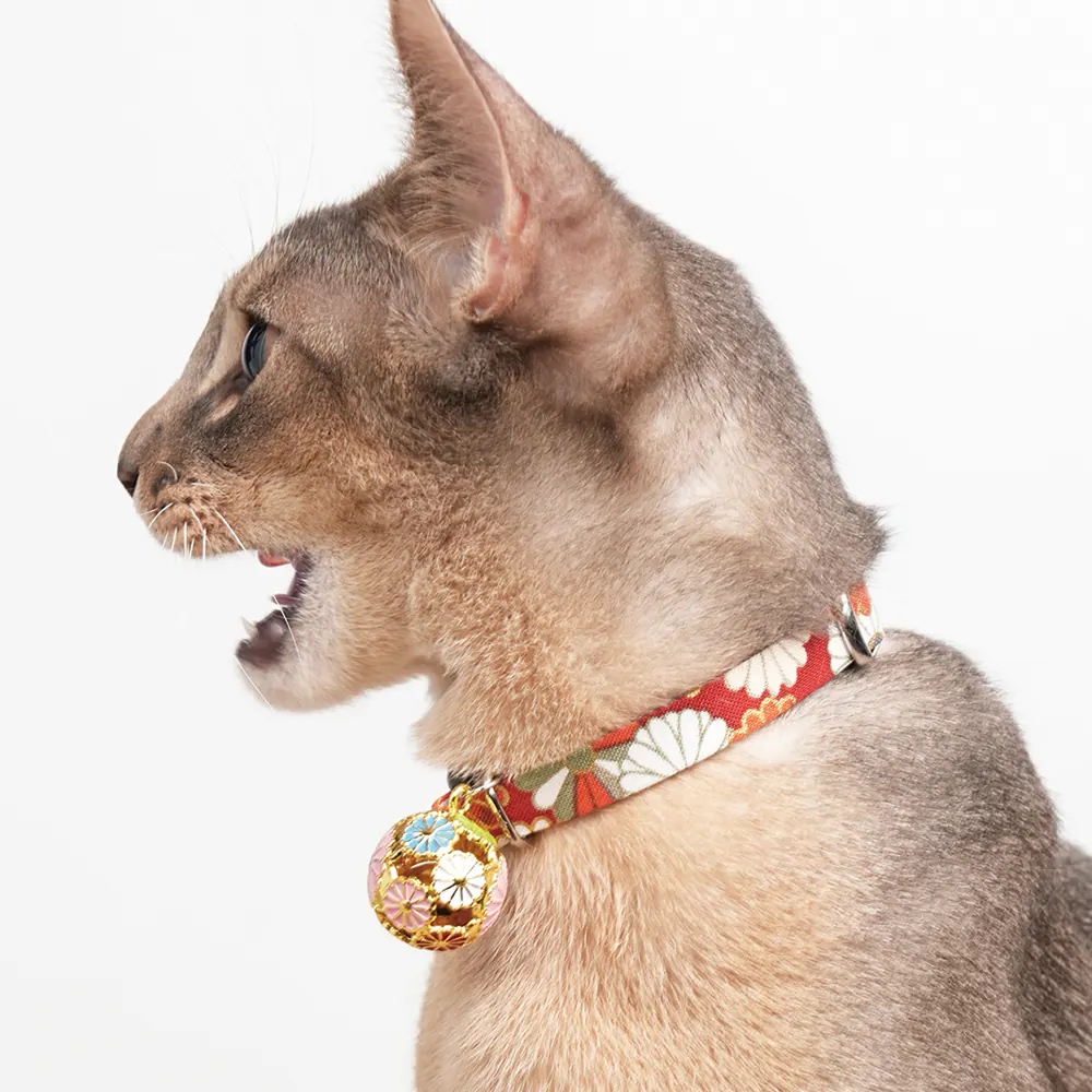 Pet Collar · 810117 product view 5