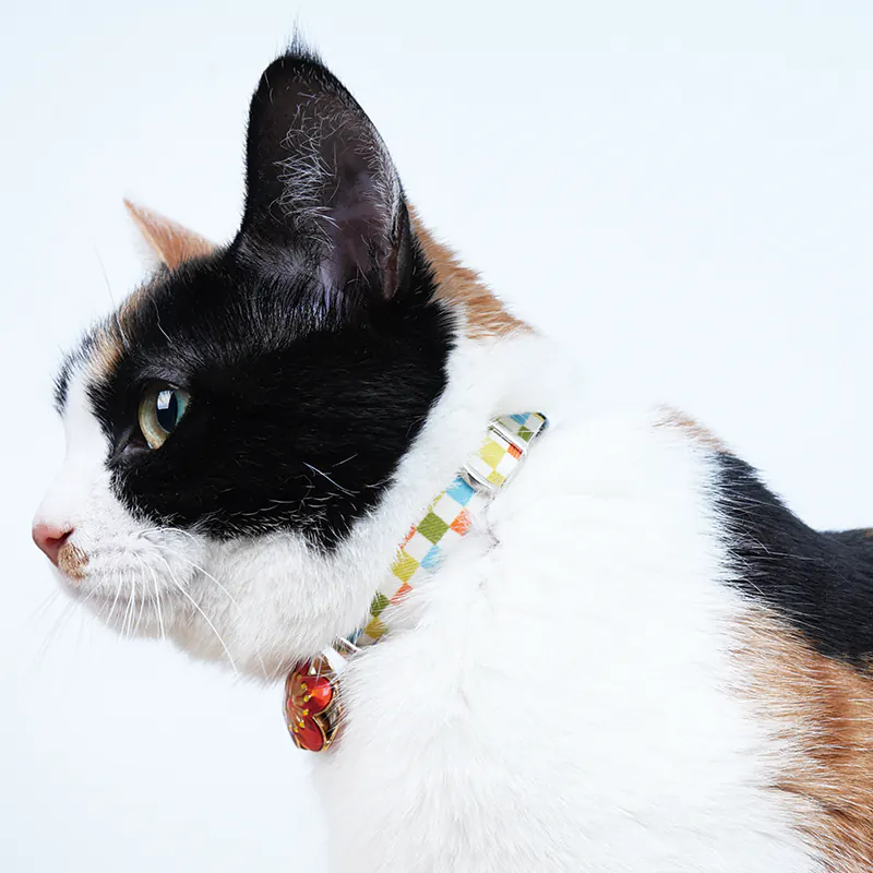 Pet Collar · 810132 product view 3