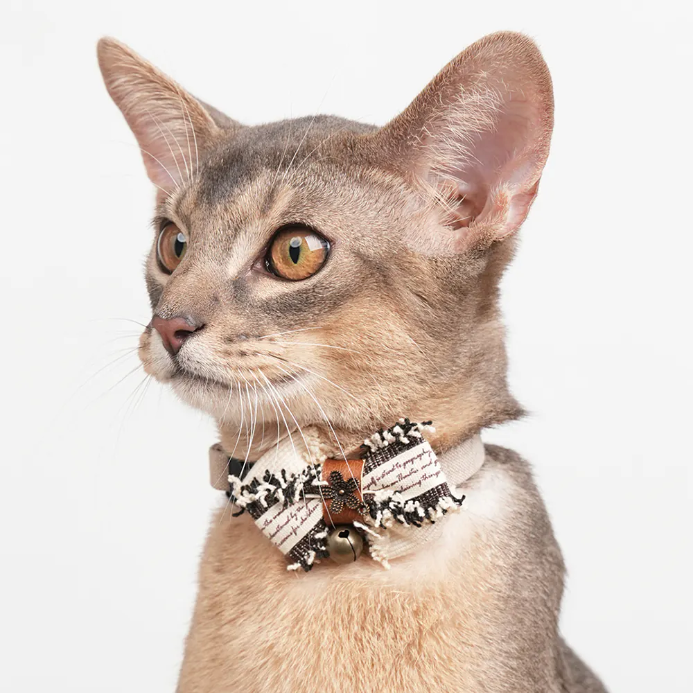 Vintage Pet Collar · ZC10006 product view 5