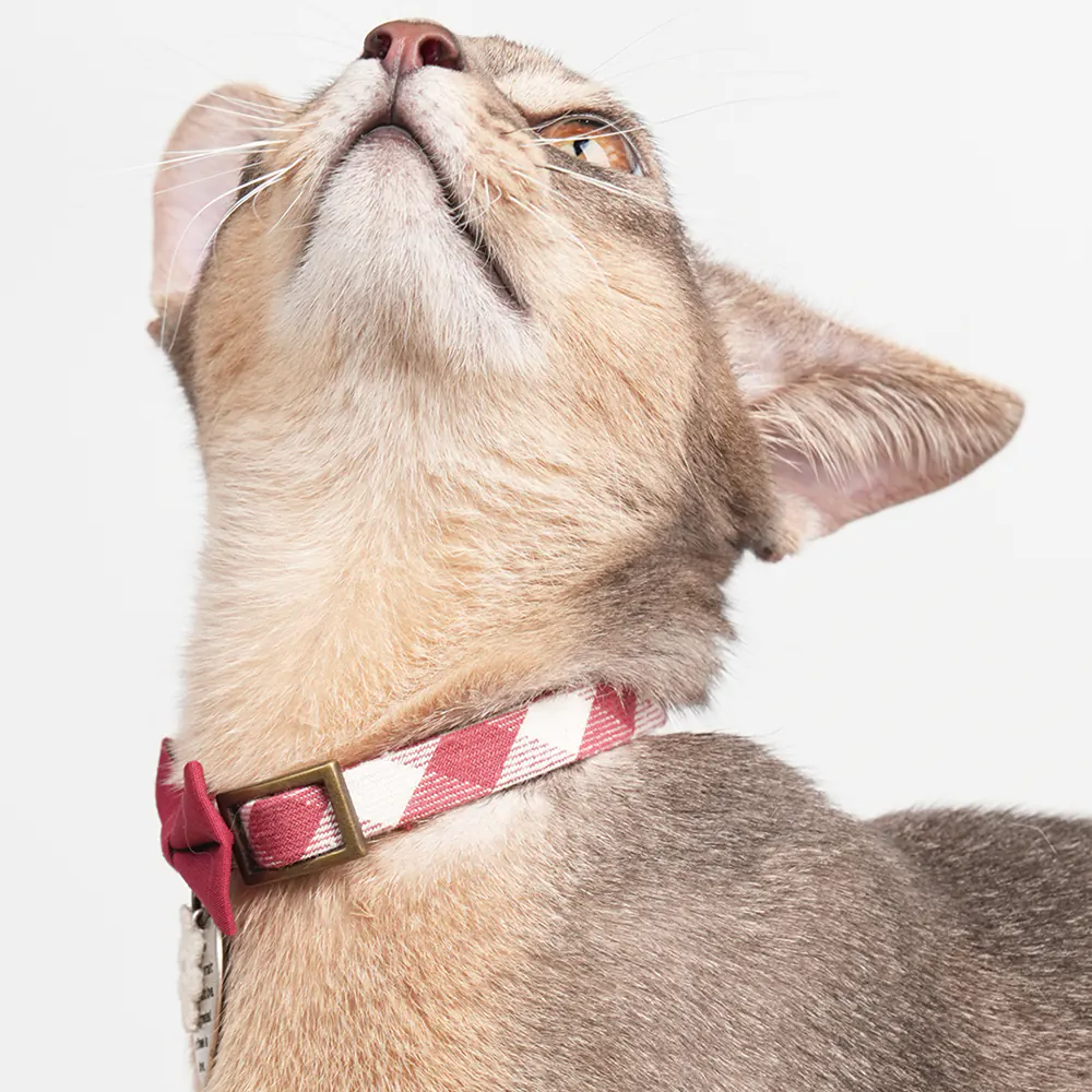 Plaid Pet Collar · ZC10007 product view 5