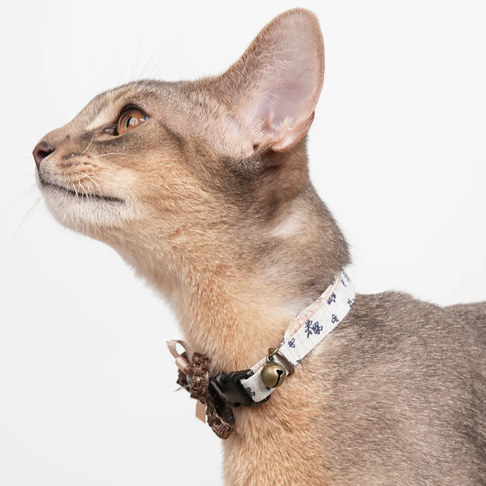 Floral Pet Collar · ZC10008 product view 3
