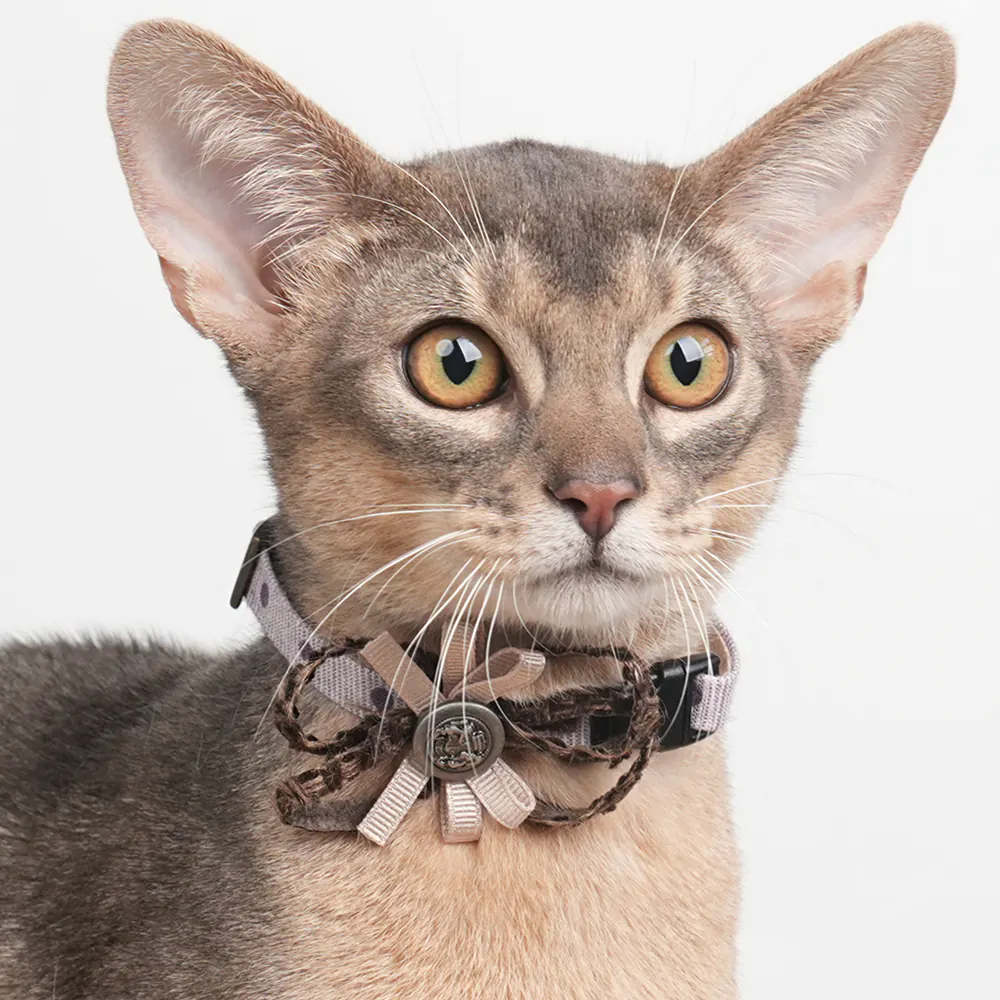 Floral Pet Collar · ZC10008 product view 4