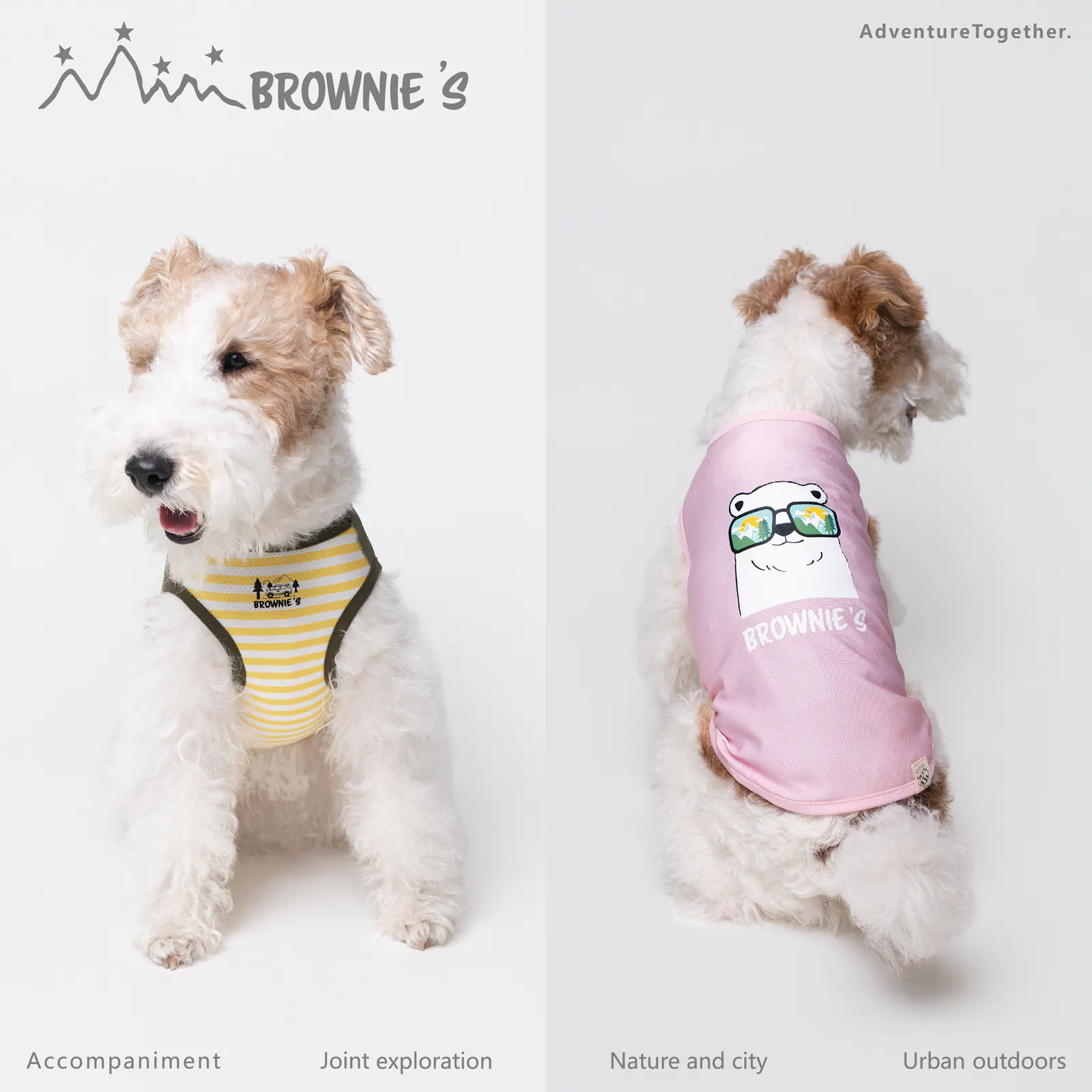 Bear Pet Vest · BR261820 product view
