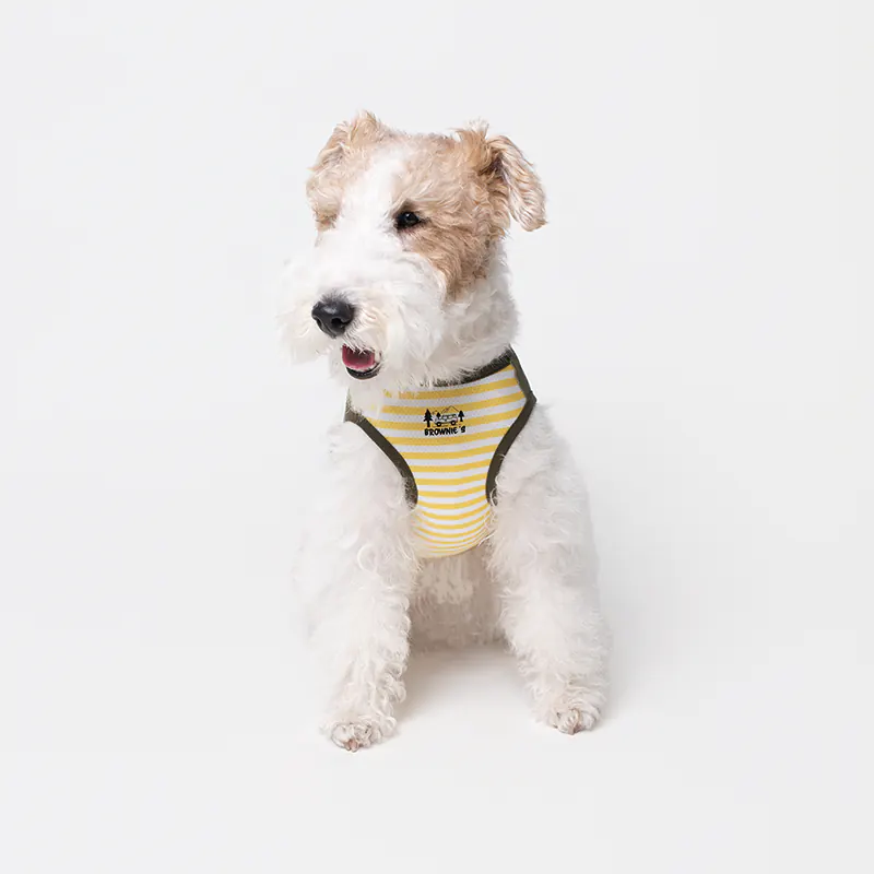 Bear Pet Vest · BR261820 product view 3