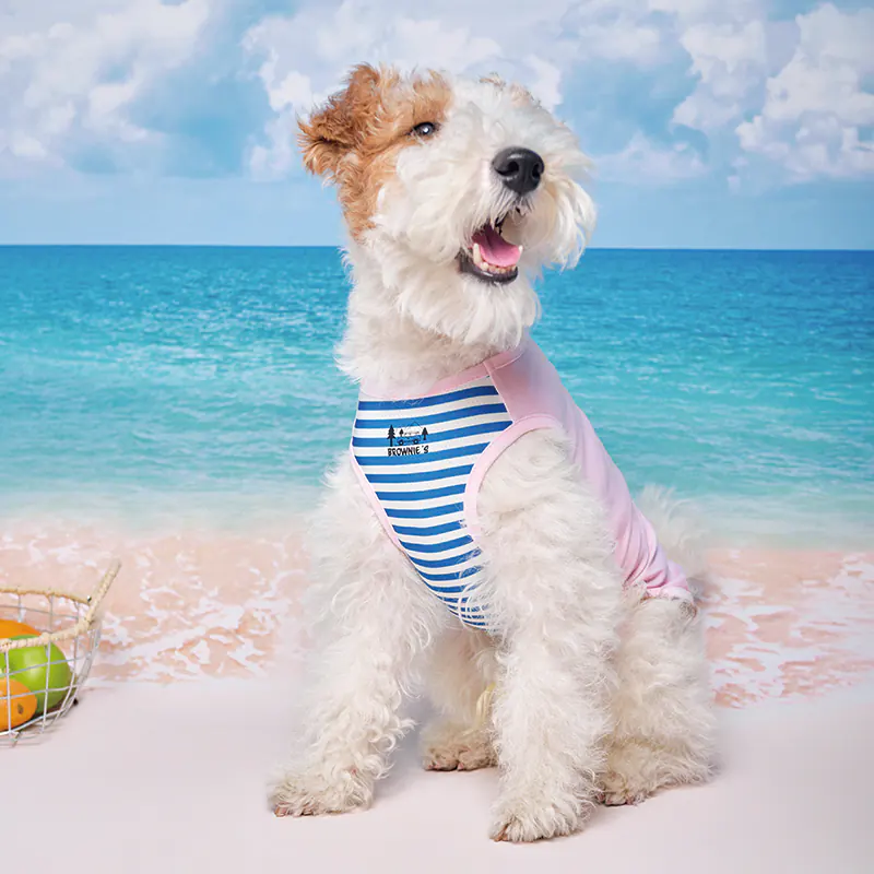 Bear Pet Vest · BR261820 product view 5