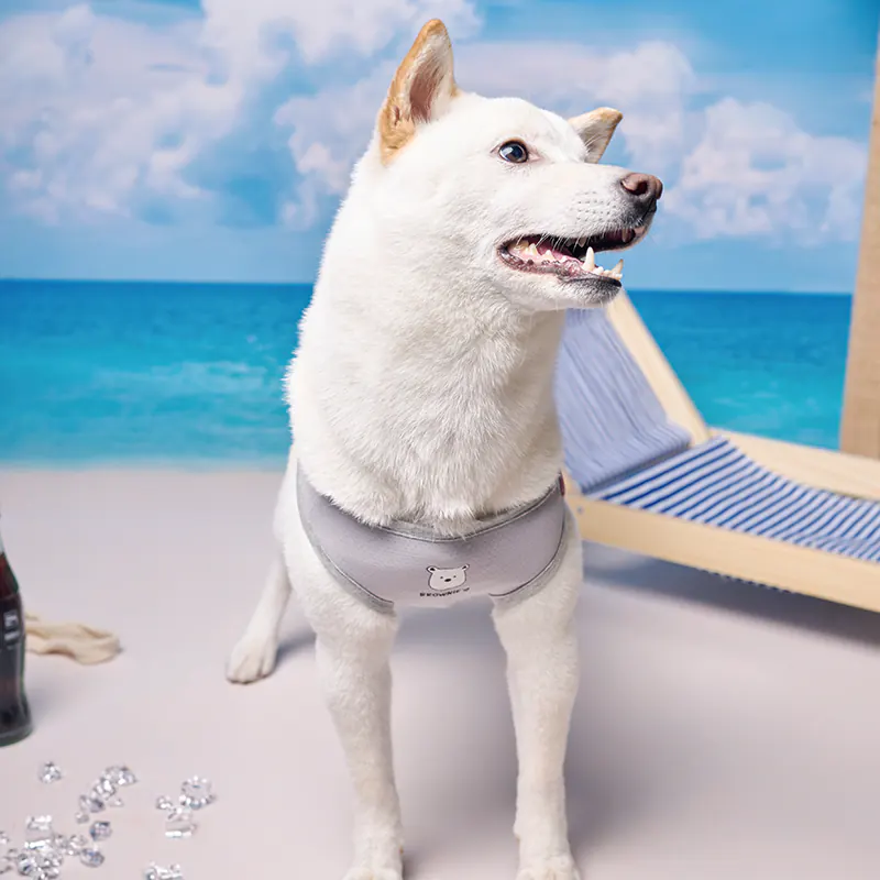 Pet Bag · BR261823 product view 2