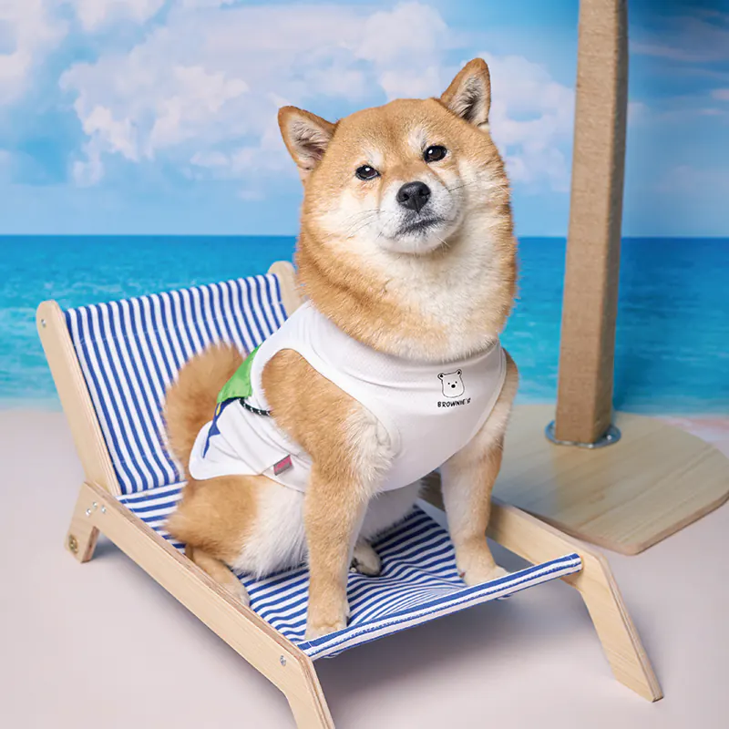 Pet Bag · BR261823 product view 3