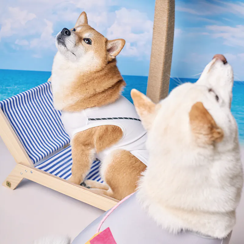 Pet Bag · BR261823 product view 4