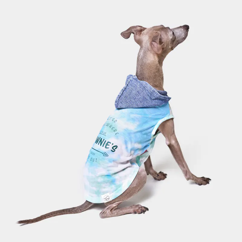 Pet Hat · BR261825 product view 4