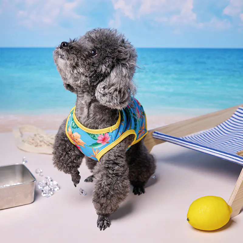 Pet Vest · BR261826 product view