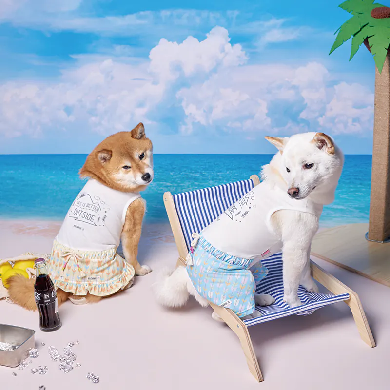 Pet Apparel · BR261827 product view