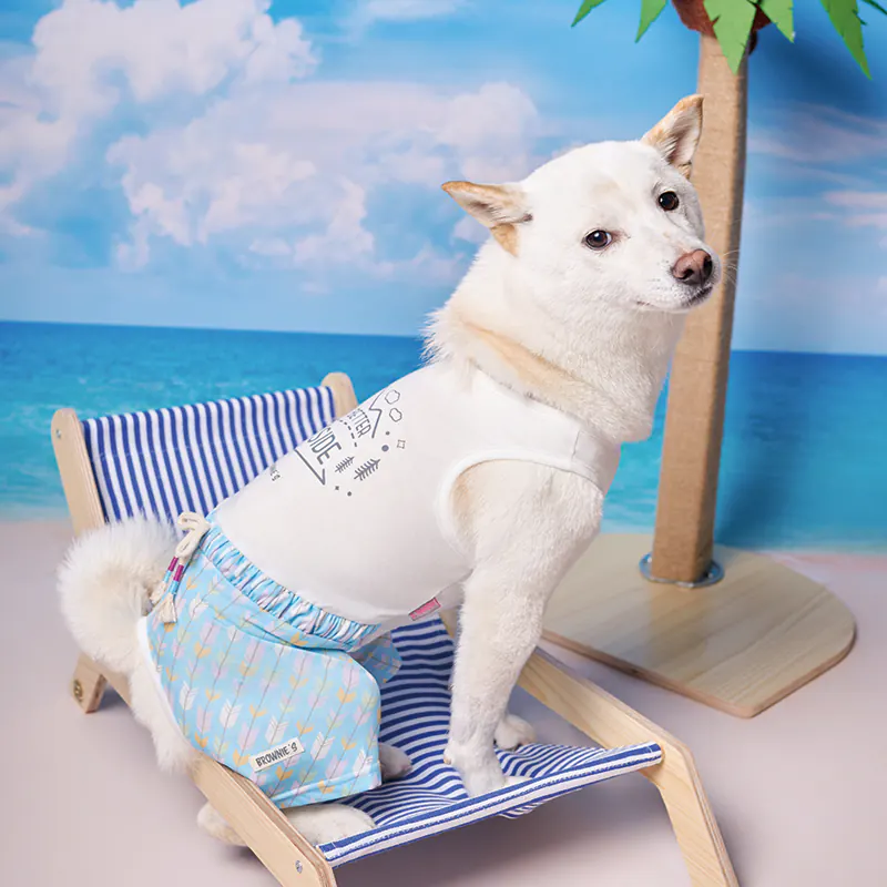Pet Apparel · BR261827 product view 2