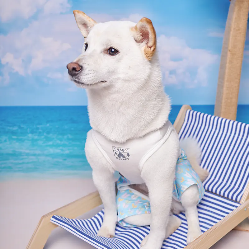 Pet Apparel · BR261827 product view 3