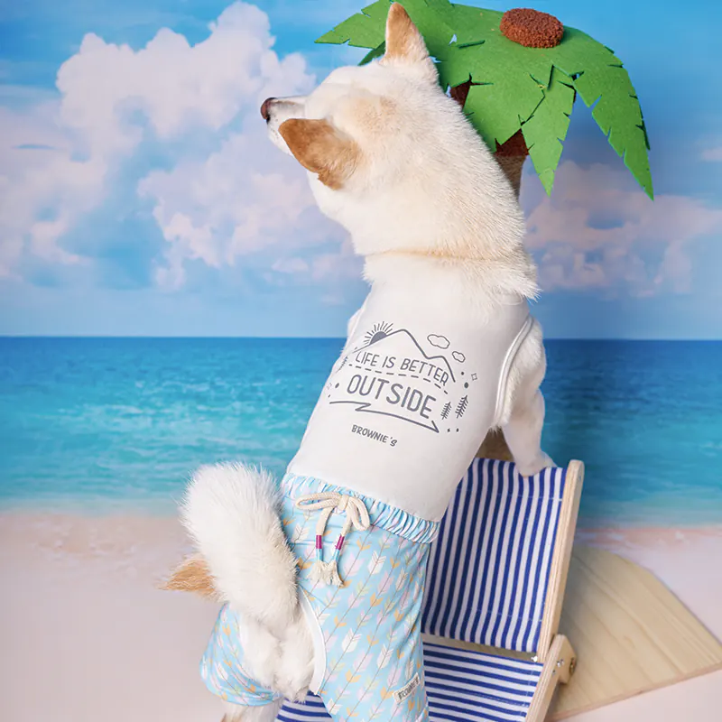 Pet Apparel · BR261827 product view 4