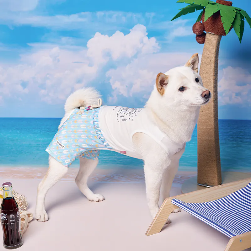 Pet Apparel · BR261827 product view 5