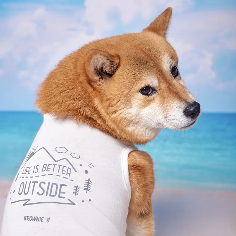 Pet Dress · BR261828 product view 2
