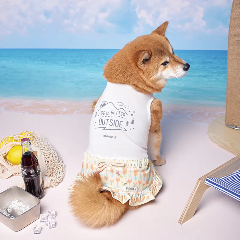 Pet Dress · BR261828 product view 3