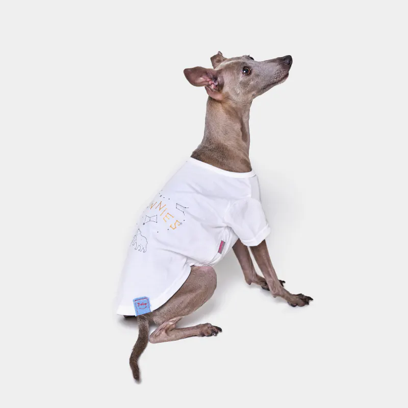 Pet T-Shirt · BR261829 product view