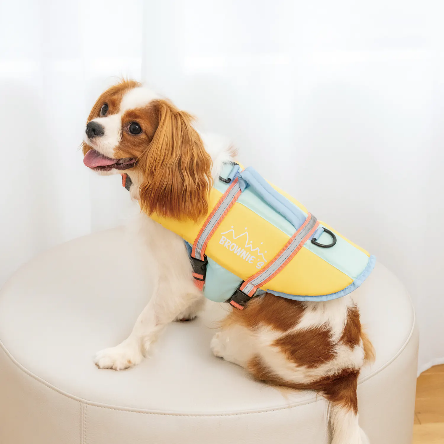 Pet Apparel · BR261839 product view 3