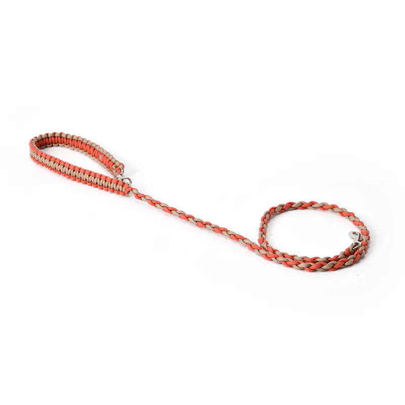Dog Lead · 50169199 product view