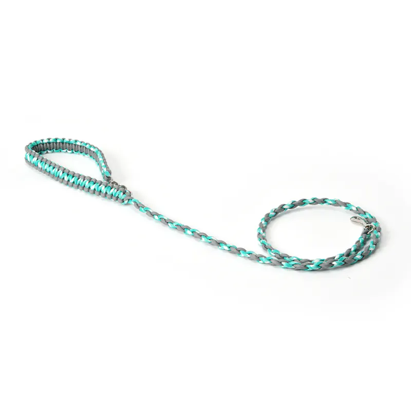 Dog Lead · 50169199 product view 3