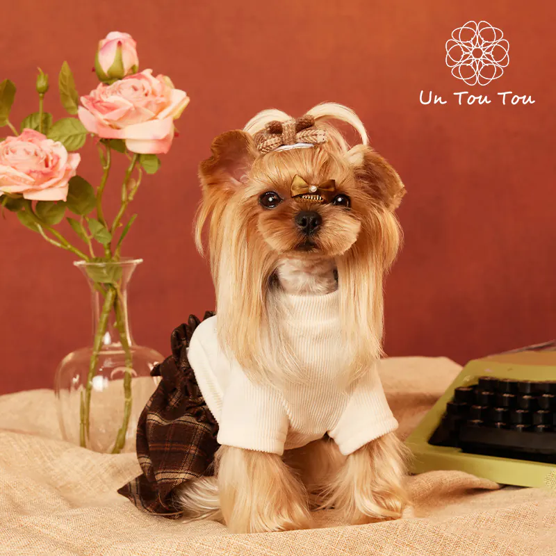Plaid Knit Pet Dress · 24341001 product view 3