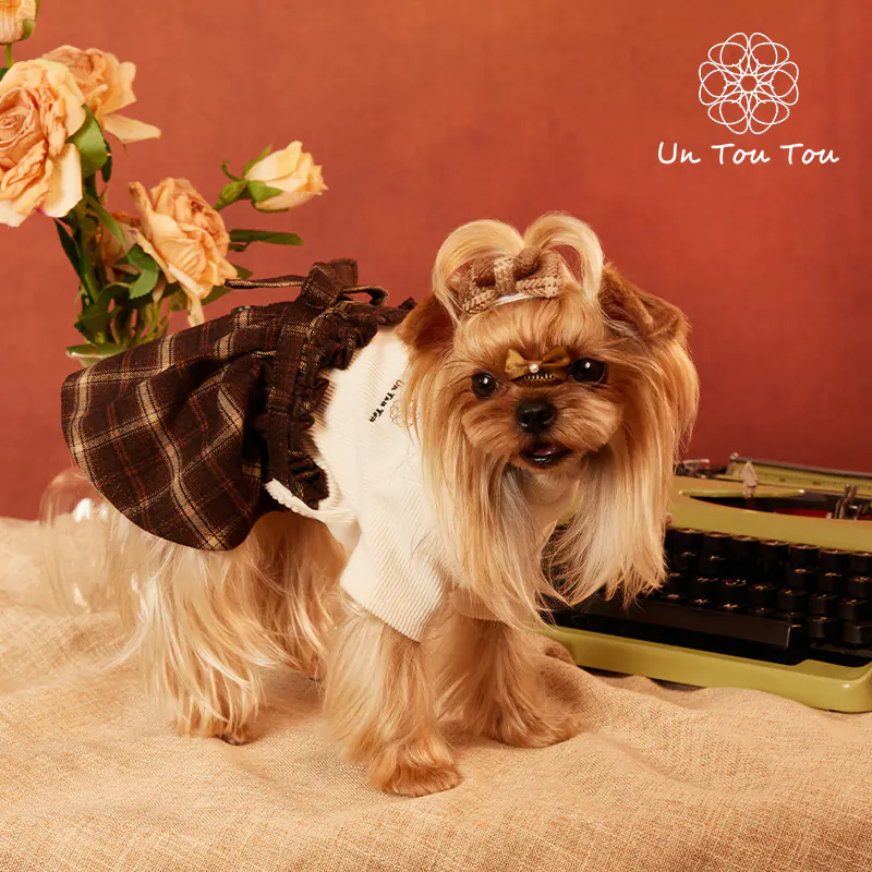 Plaid Knit Pet Dress · 24341001 product view 4