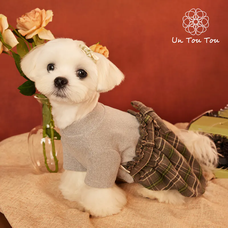 Plaid Knit Pet Dress · 24341001 product view 5