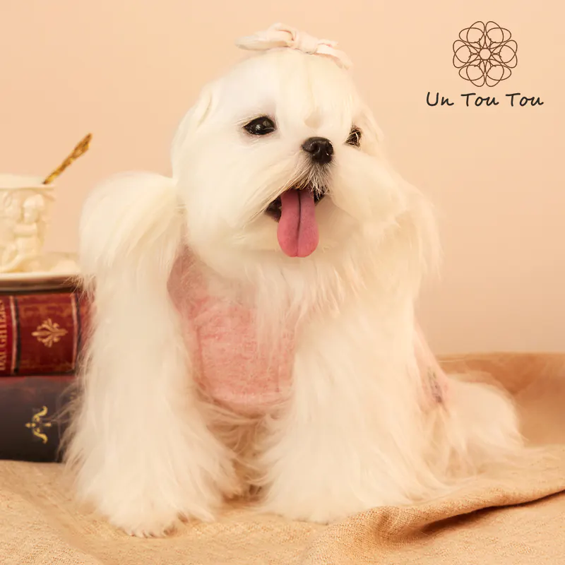 Embroidered Fruit Pet Vest Dress · 24341002 product view 3
